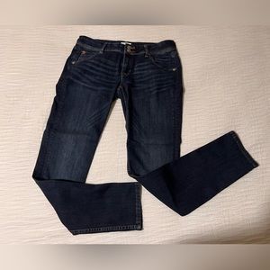 Hudson Dark Wash Skinny Jeans, Size 28